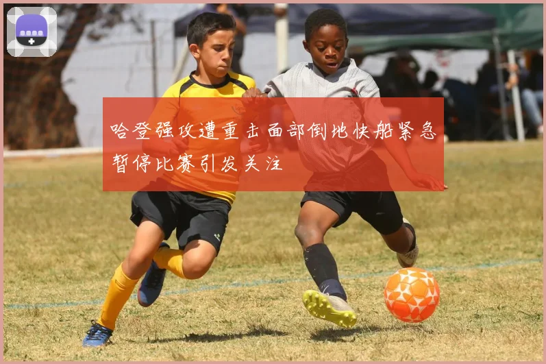 哈登强攻遭重击面部倒地快船紧急暂停比赛引发关注