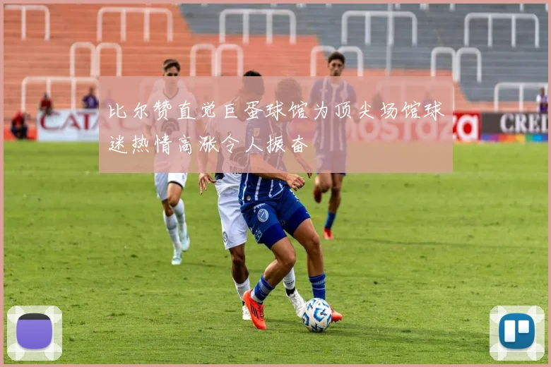 比尔赞直觉巨蛋球馆为顶尖场馆球迷热情高涨令人振奋