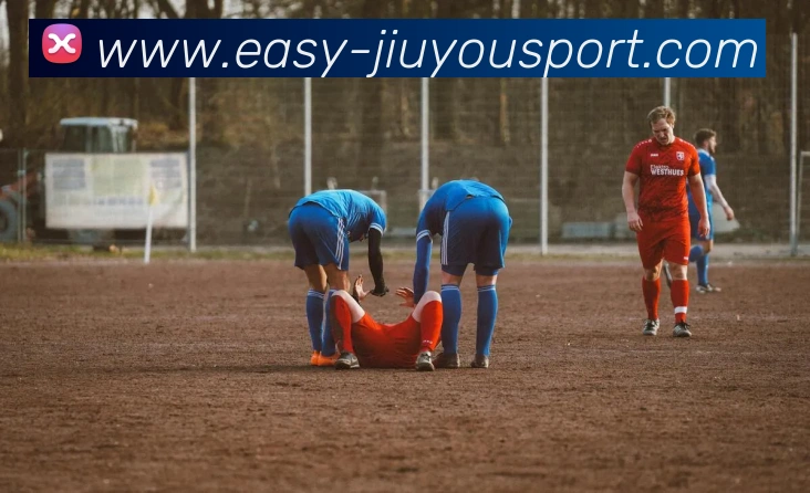 九游体育APP 封面图